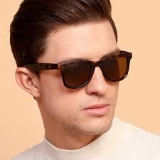 vincent chase wayfarer sunglasses