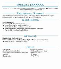 Resume Examples No Work Experience