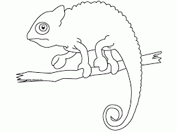 Chameleon adult coloring page premium vector 8 months ago. Chameleon Coloring Page Hd Printable Coloring Pages Coloring Home