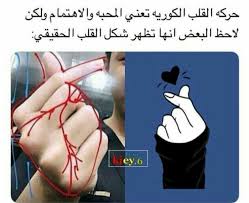 Pin On المشاهير