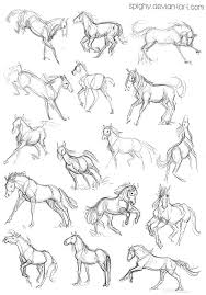 40 Easy Illustrated Animal Sketch Drawing Ideas Learn How You Can Draw Different Animals Step By Step T Animal Sketches Easy Animals Animal Drawings Sketches
