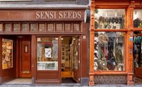 According to the folks over at marijuana seeds nl, they were actually the first seed banks to offer their wares for sale over the internet. Sensi Seeds