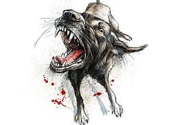 Official apathy, lack of awareness blamed for surge in rabies deaths in  Kerala