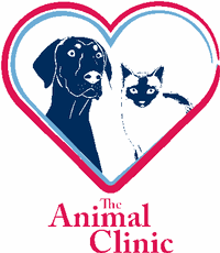 Maybe you would like to learn more about one of these? Small Or Animal Or Associate Or Veterinarian Or Statecode Ia Jobs Njvma Career Center