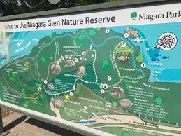 You can also see the swirling waters of the niagara whirlpool! Hike The Niagara Glen Canada A Travel Goal On Day Zero Project
