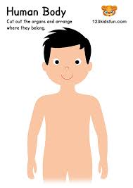 This esl lesson also teaches children basic actions by a doctor during a health check. Human Body Systems For Kids Free Printables Homeschooling 123 Kids Fun Apps