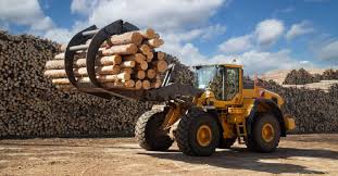 Paula K. Jones, CSP, ASP, CIT