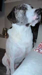 Jeena Barfield (@jeenabarfield)’s videos with original sound