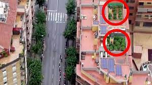 Internet explorer 11, chrome 55, firefox 50, safari 10. Une Plantation De Cannabis Trahie Par L Helicoptere Du Tour D Espagne