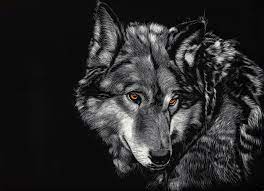 What is the use of a desktop. 4k Wallpapers Of Wolf 4k Wallpapers Of Wolf Wolf Tattoo Bedeutung Bildschirmhintergrund Spruche Bildschirmhintergrund