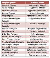 Climate Change Threatens Penguins Actionbioscience