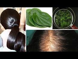 Hair Restore Biotin Hair Growth Serum In Hindi Magical Hair Re Growth Serum 100 Effective For He She One Odd Trick To Regrow Your Hair In Days You Hair Fall Remedy Home Hair Fall Remedy Hair Remedies