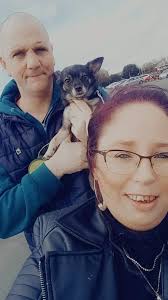 Post a picture of your favorite dog