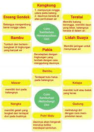 Simak dengan seksama pembahasan soal latihan yang ada pada artikel ini. Kunci Jawaban Tema 2 Kelas 6 Sd Dan Mi Halaman 18 21 24 25 Subtema 1 Rukun Dalam Perbedaan Portal Jember Halaman 4