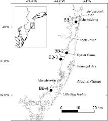 map of the barnegat bay study area showing the marsh core