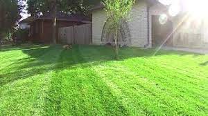 There are 50 lawn care nut coupons in june 2021 for customers who want to place orders at thelawncarenut.com. Lawn Care Nuts Biggest Secret Youtube