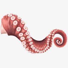 Octopus Pink Tentacle Curling Fish Suckers Png Transparent Clipart Image And Psd File For Free Download Pink Pattern Background Tentacle Clip Art