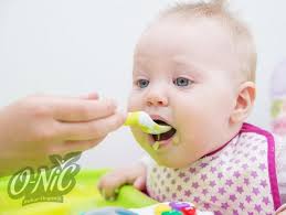 Tapi di usia awalnya, biasanya anak kucing hanya minum susu dari induknya. Tips Agar Bayi 7 Bulan Cepat Gemuk Bubur Organik Onic