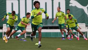 Palmeiras conclui preparação para a final com treino tático. Futebol Palmeiras