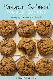 Pumpkin Oatmeal Toddler Cookies Recipe Toddler Cookies Pumpkin Oatmeal Food