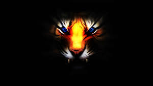 Cool 3d Tiger Wallpaper Best Wallpaper Hd Tiger Wallpaper Lion Wallpaper Animal Wallpaper