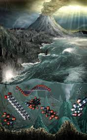 Image result for rna world hypothesis