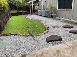 Image result for Fuirena obcordata