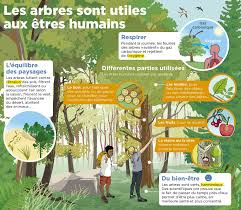 Epingle Par Ecole A La Maison Ressource Sur Mon Quotidien Culture G Ecologie Rechauffement Climatique Culture Generale