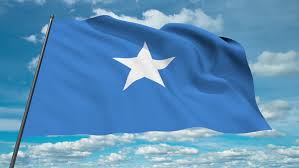 The perfect puntland puntlandflag pim animated gif for your conversation. Reflections On Puntland Diaspora Forum S Article Abdullahi Janno