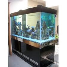 Selain itu filter aquarium terbaik juga harus memiliki saringan mampu bertahan lama. Jual Aquarium Air Laut Tawar Surabaya Toko City Aquaworld Surabaya Sidoarjo Jawa Timur Indotrading