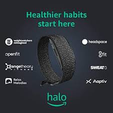 For its more advanced features, it needed to be wired into power, but a rechargeable battery kicked in when the grid went down and offered a solid week of continued functionality. Amazon Com Amazon Halo Measure Activity Sleep Body Composition And Tone Of Voice Black Onyx Medium Amazon Devices