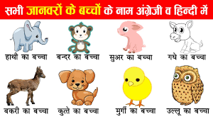 All Disease Names In English And Hindi With Pictures Disease Name List In Hindi To English Youtube