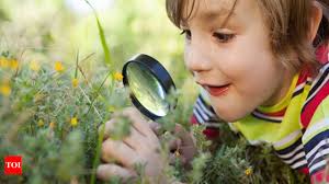 Easy activities for kids to help them get in touch with nature