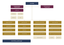 جامعة الإمام عبد الرحمن بن فيصل. Ø§Ù„Ù‡ÙŠÙƒÙ„ Ø§Ù„ØªÙ†Ø¸ÙŠÙ…ÙŠ Imam Abdulrahman Bin Faisal University