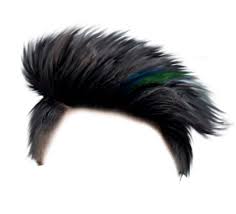 20 Latest Hair Png Download Hd Boy Anne In Love 7:53 jesin fit lyf recommended for you. 20 latest hair png download hd boy