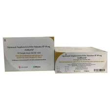 Amphotericin b liposomal is not for treating a minor fungal infection such as a yeast infection of the mouth, esophagus, or vagina. Ambisome 50mg Injection Liposomal Amphotericin B 50mg Exporter Distributor And Supplier From India