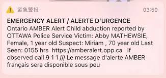 Le téléjournal ottawa/ gatineau new. ç‚¸äº† å¤šä¼¦å¤šå‡Œæ™¨4ç‚¹å…¨æ°' æ‰‹æœºå°–å« å·®ç‚¹å„¿æŠŠæˆ'é€èµ° è­¦æŠ¥