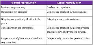 In this form of reproduction, a single organism or cell makes a copy of itself. Pin On Botany