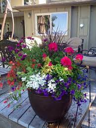 Nov 22, 2020 · the blue or indigo purple flowers of aster are a symbol of the fall garden and can work equally well in a fall container garden. Container Gardening Design Org Nbspthis Website Is For Sale Nbspcontainer Gardening Design Resources And Information Container Gardening Container Flowers Porch Flowers