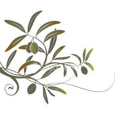Olive Tattoo Photo By Kaoriknights Photobucket Olive Tattoo Olive Tree Tree Branch Tattoo