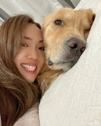 ROMEO CHIU🐾 (@iamromeo.golden) • Instagram photos and videos