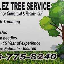 Gonzalez Tree Service Home Facebook