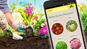 Ipad pro 11 and 12.9: Die Besten Garten Apps Gratis Experte Werden Chip