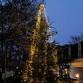 Christmas Tree Light Up - Heatherside Camberley event image