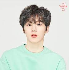 He is a member of the boy group up10tion and a former member of the project boy group x1. Kim Woo Seok Seals Endorsement Deal With Wallavu