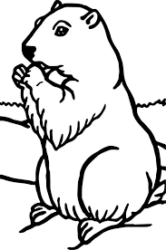 Coloring pictures for kids coloring pages for girls animal coloring pages coloring pages to print free coloring pages kindergarten coloring pages kindergarten colors kindergarten math groundhog pictures. Groundhog Coloring Pages Preschool Animal Coloring Pages Coloring Pages Coloring Pages Inspirational