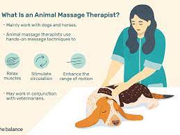 In a few minutes a waiter came up to his. Animal Massage Therapist Job Description Salary More