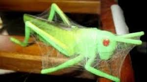 Remember the wider the point, the larger your web.1 x research source any color will do but white or silver are more traditional colors.step 2, cut pieces of yarn and secure the frame. 4 Ways To Make A Spider Web Wikihow