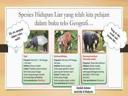 Skala dan jarak unit 4: Geografi Kssm Tingkatan 3 Youtube