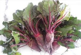 Image result for Batopedina